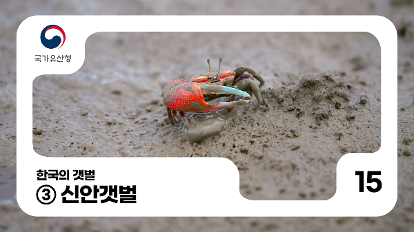 015. 한국의갯벌_③신안갯벌 썸네일