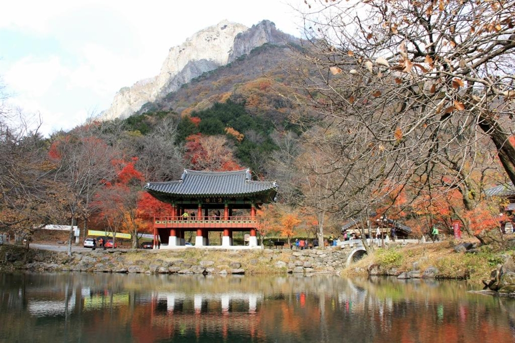 국가유산채널 > 자료실 > 참여 > 이야기 자료 국가유산채널