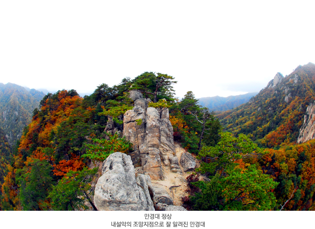국가유산채널 > 자료실 > 참여 > 국가유산칼럼 국가유산채널
